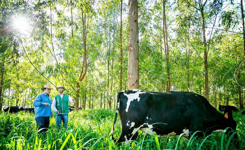 SENAR oferece 30 cursos gratuitos e a distância para profissionais do setor agropecuário que buscam formação continuada