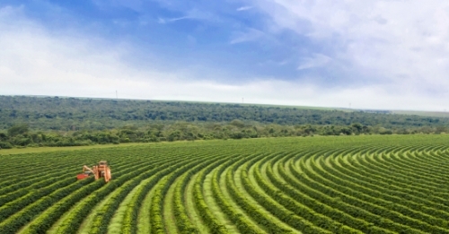 Profissões do Agro: qualificação técnica e as oportunidades em agricultura