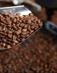 /storage/arquivos/card-tecnico-em-cafeicultura-presential.jpg